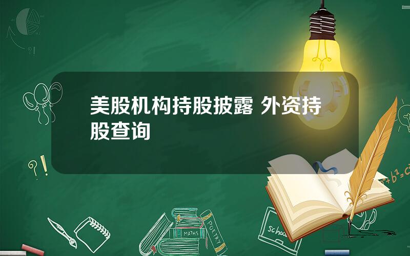 美股机构持股披露 外资持股查询